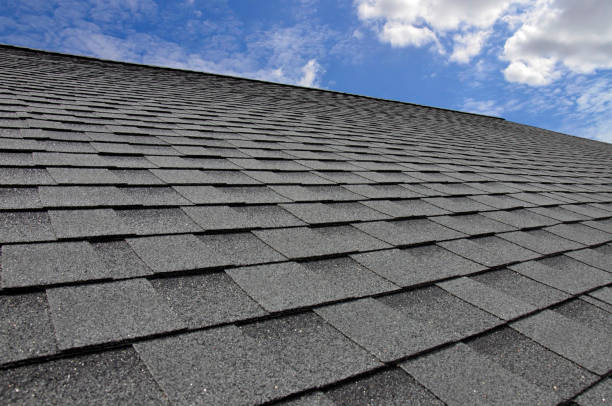 Best Roof Repair  in Elizabeth, PA